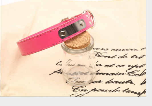 Personalized Dog Collar - Custom Pet Accessories