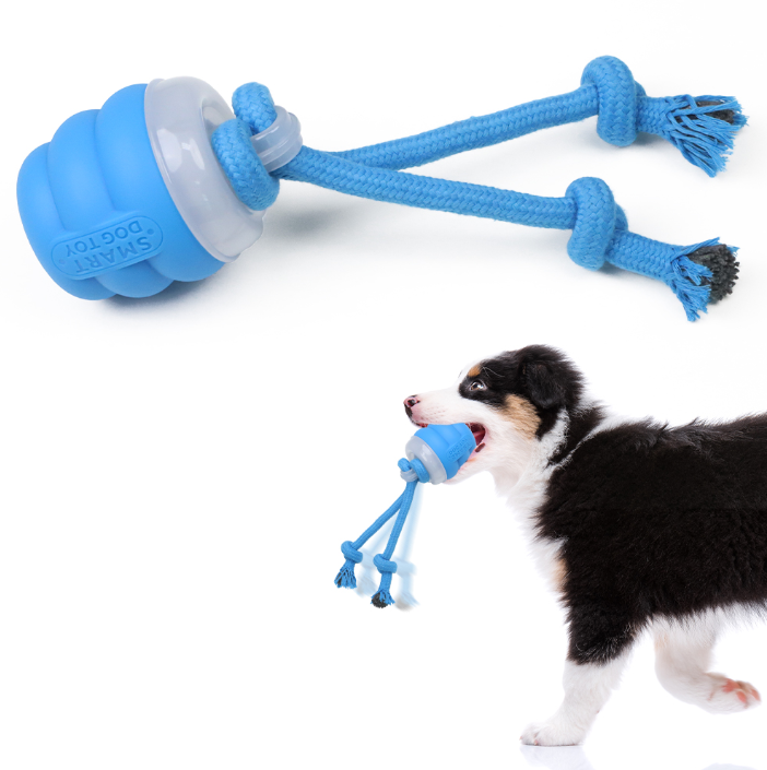 Paw Glide Toy