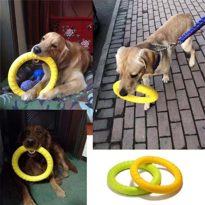 Floating Fetch Ring - Interactive Tug & Train Toy