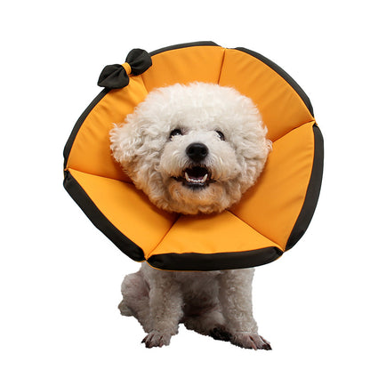 Soft Recovery Collar for Dogs