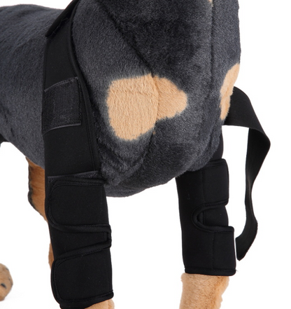 Dog Knee Brace & Leg Protector for Injury Recovery