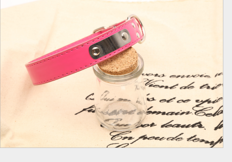 Personalized Dog Collar - Custom Pet Accessories
