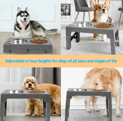 Adjustable Raised Slow Feeder Dog Bowl