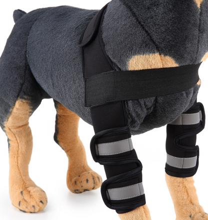 Dog Knee Brace & Leg Protector for Injury Recovery