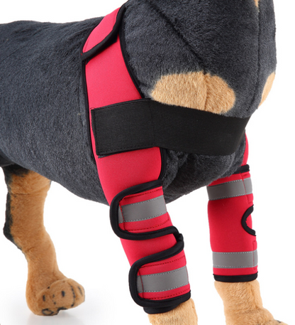Dog Knee Brace & Leg Protector for Injury Recovery