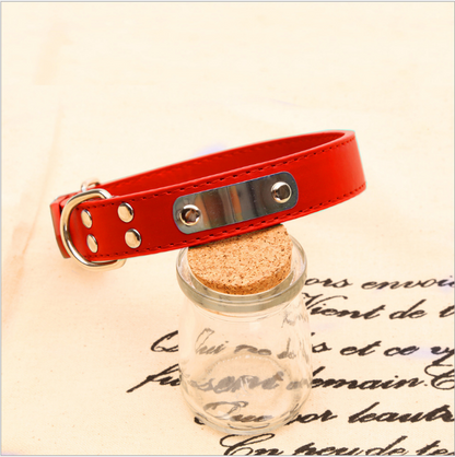 Personalized Dog Collar - Custom Pet Accessories