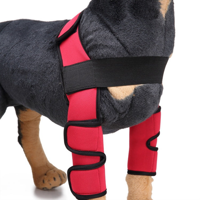 Dog Knee Brace & Leg Protector for Injury Recovery