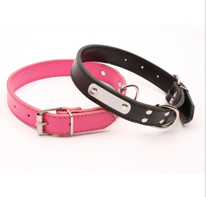 Personalized Dog Collar - Custom Pet Accessories