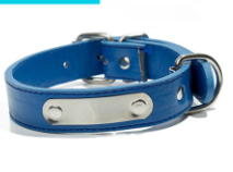 Personalized Dog Collar - Custom Pet Accessories