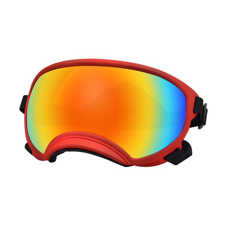 Stylish Dog Snow Goggles for Slopes & Style