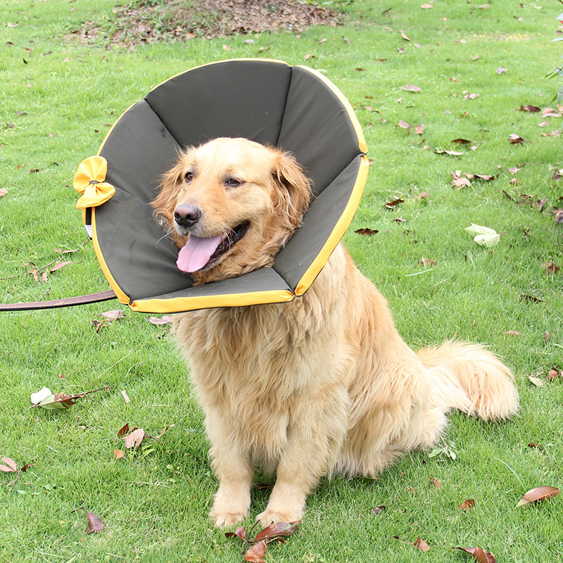 Soft Recovery Collar for Dogs