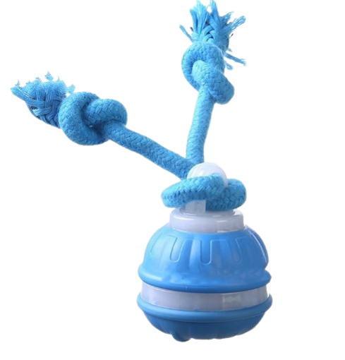 Paw Glide Toy