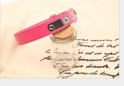 Personalized Dog Collar - Custom Pet Accessories