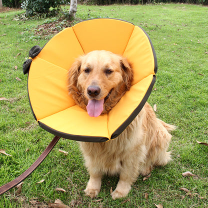 Soft Recovery Collar for Dogs