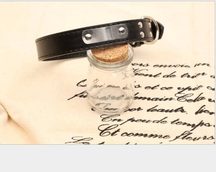 Personalized Dog Collar - Custom Pet Accessories