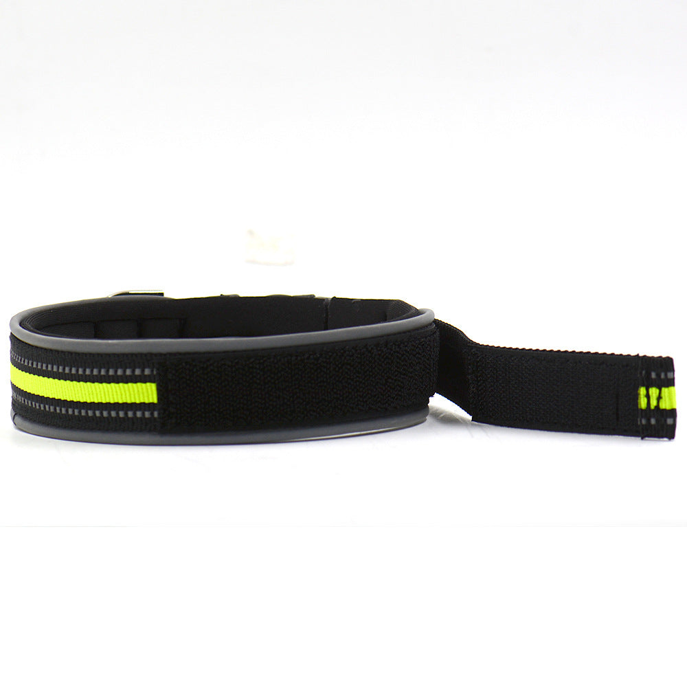 Soft & Cozy Everyday Dog Collar