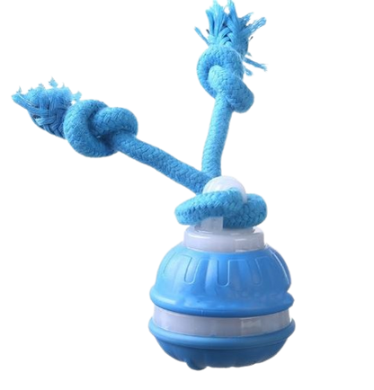 Paw Glide Toy