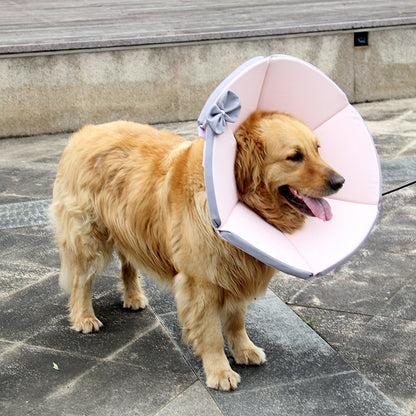 Soft Recovery Collar for Dogs