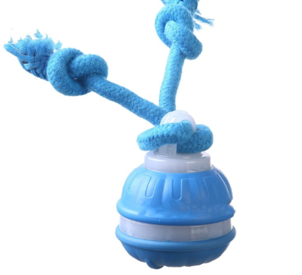 Paw Glide Toy