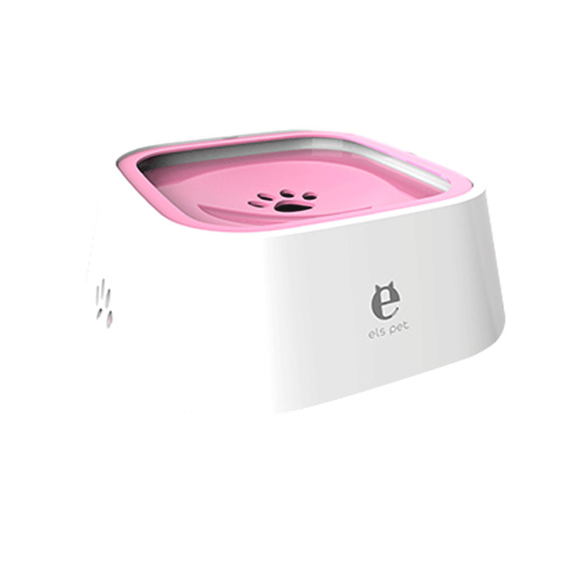 Dog Bowl
