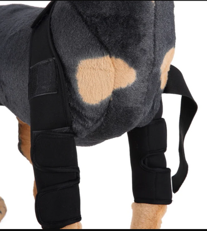 Dog Knee Brace & Leg Protector for Injury Recovery