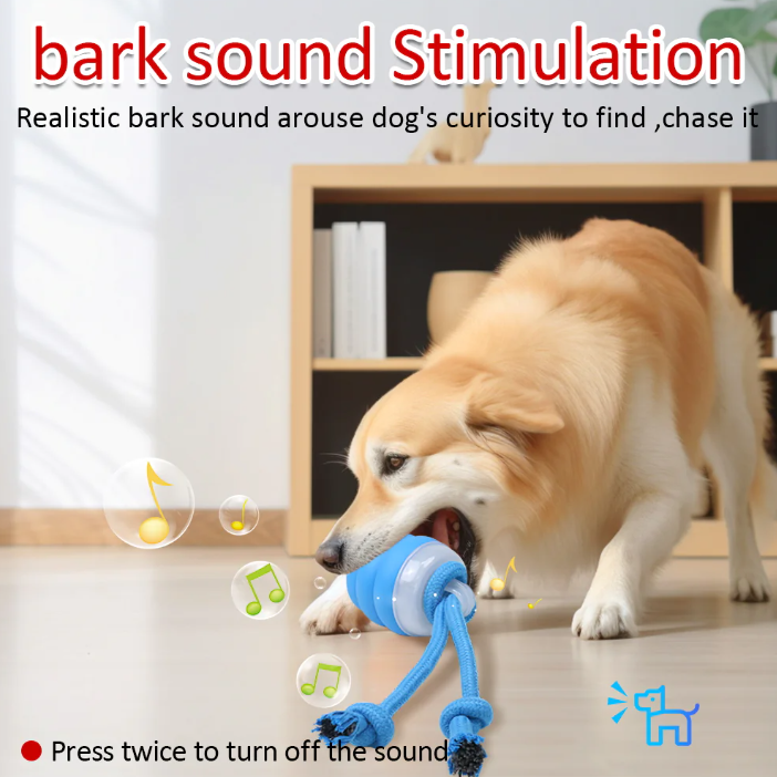 Paw Glide Toy