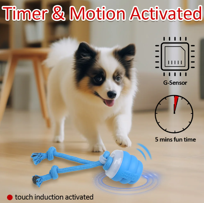 Paw Glide Toy
