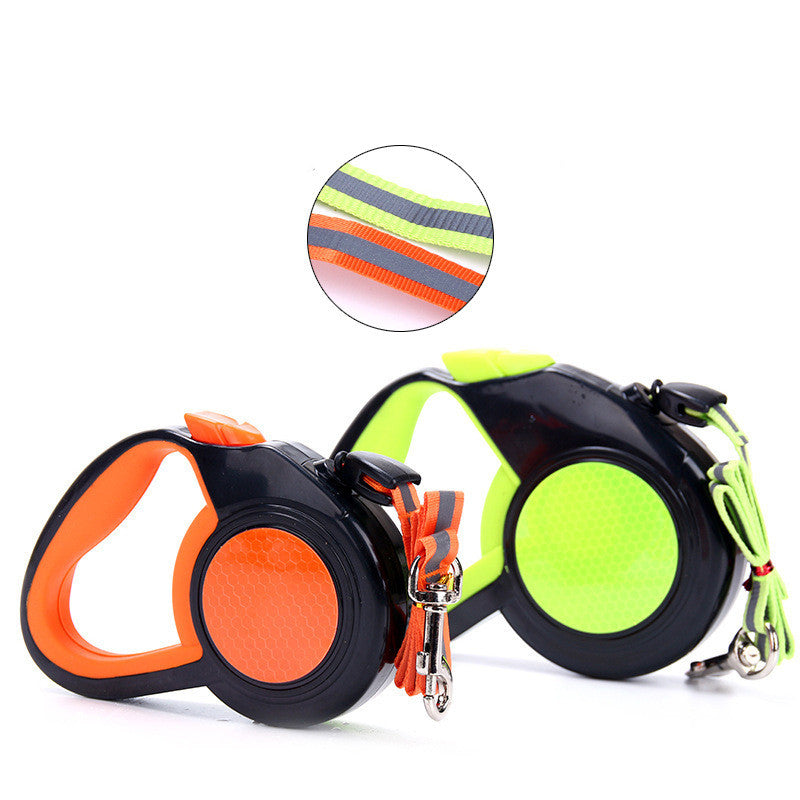 Glow-Up Dog Leash for Safer Night Walks