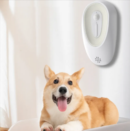 Dog Odor Eliminator for Poop Areas