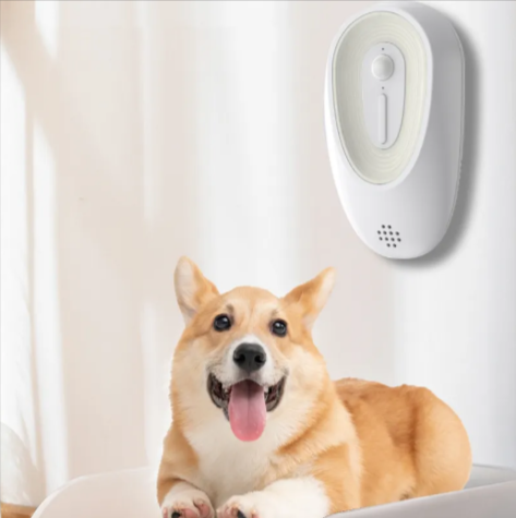 Dog Odor Eliminator for Poop Areas