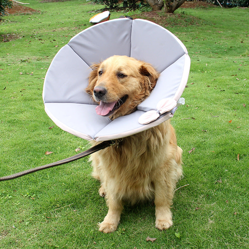 Soft Recovery Collar for Dogs