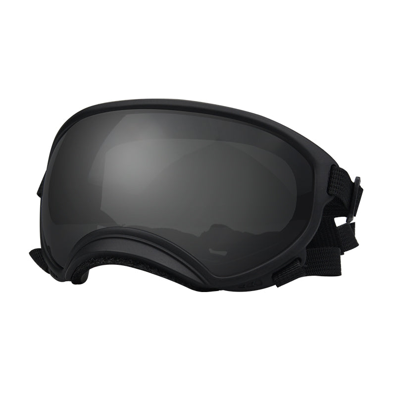 Stylish Dog Snow Goggles for Slopes & Style