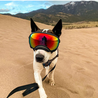 Stylish Dog Snow Goggles for Slopes & Style