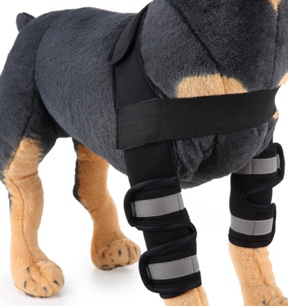 Dog Knee Brace & Leg Protector for Injury Recovery