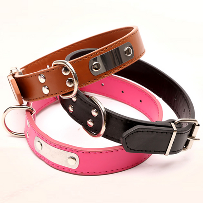 Personalized Dog Collar - Custom Pet Accessories