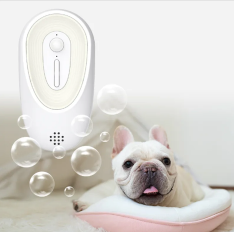 Dog Odor Eliminator for Poop Areas